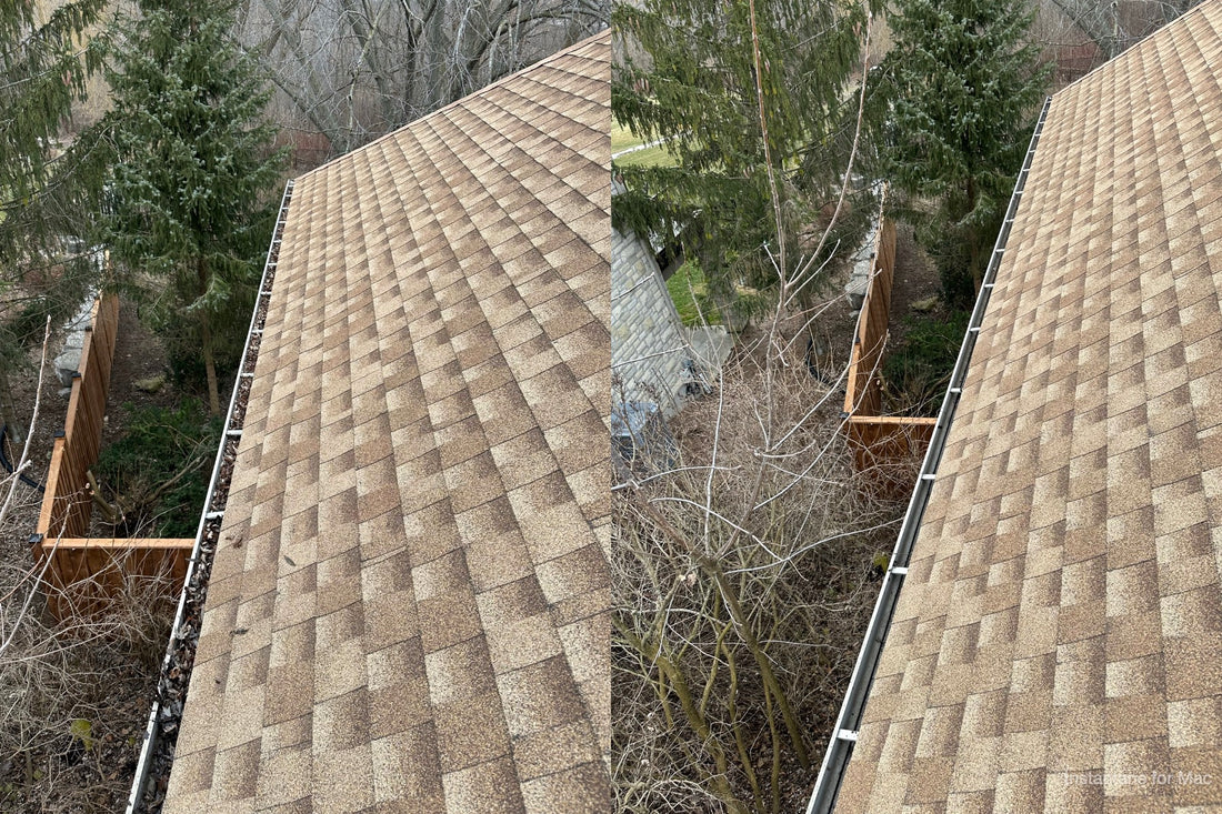 Gutter Cleaning Cambridge: Why you Should Clean Your Gutters