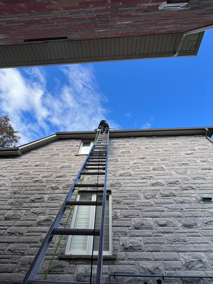 Window Cleaning Guelph