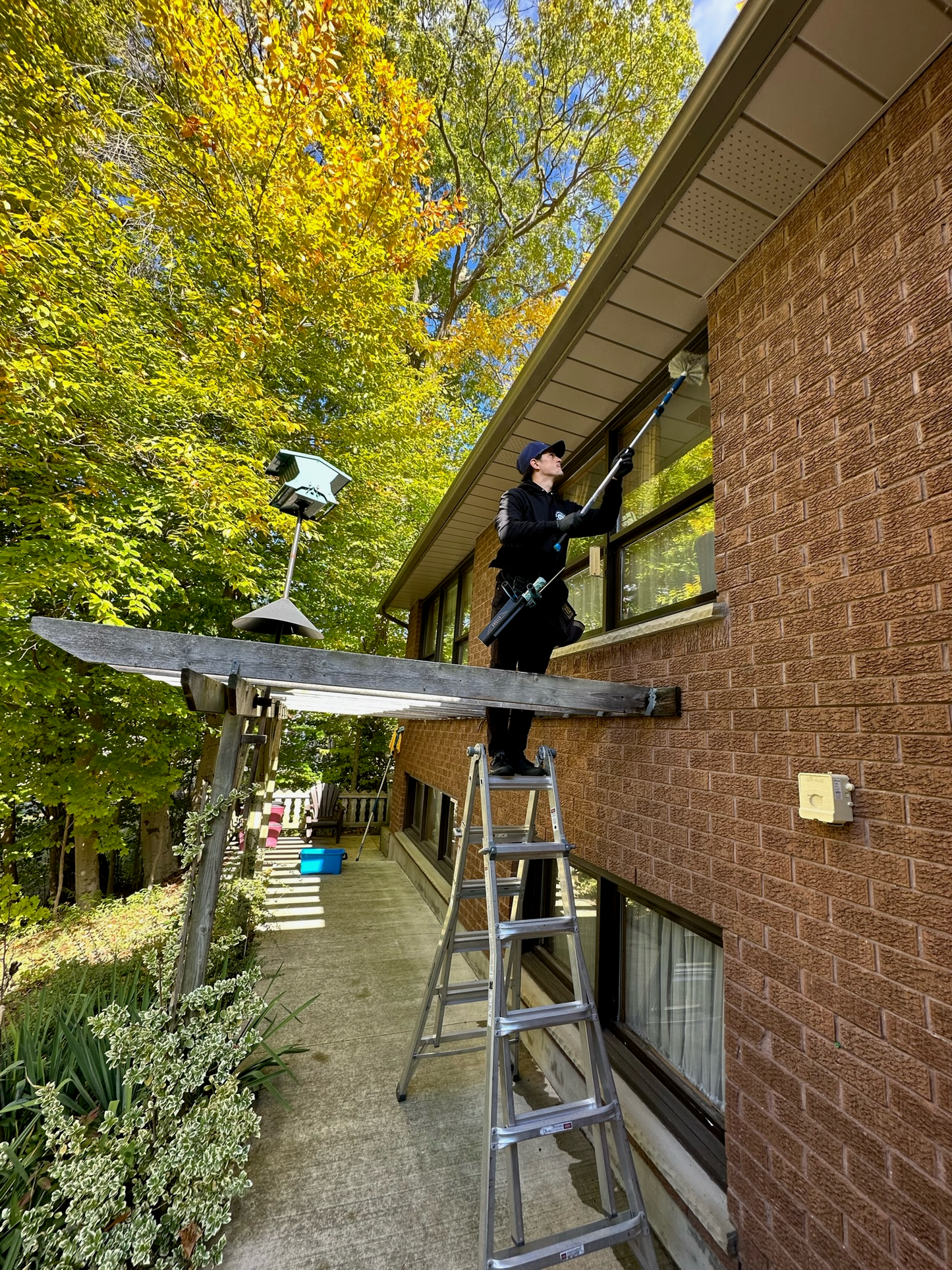 Window Cleaning Guelph