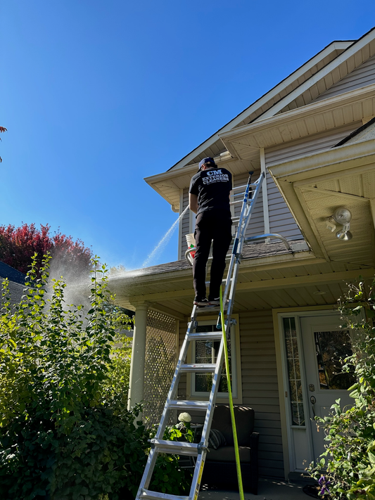 Gutter Cleaning Guelph